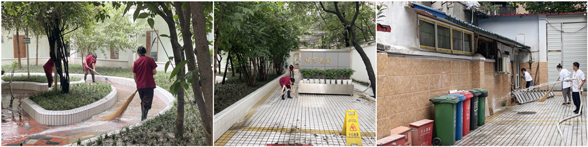 1627002657238295.jpg 4.jpg