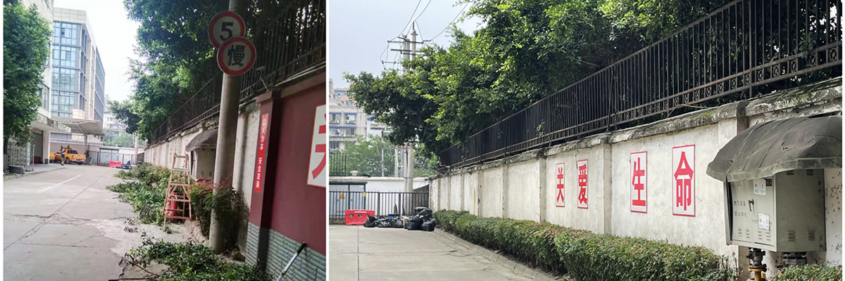 1627002671820084.jpg 5.jpg