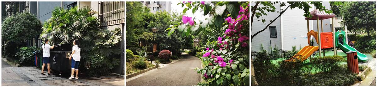 1660727852166715.jpg 总3.jpg